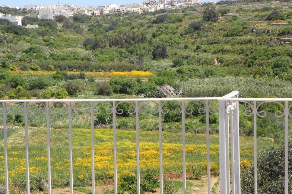 Hotel Mediterranea Seaviews (Qala)